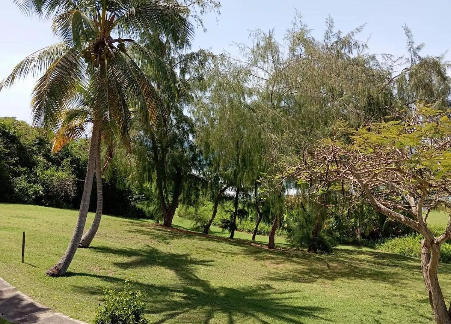 Appartement Village Pierre Et Vacances Vue Mer Guadeloupe St Anne Sainte-Anne  Guadeloupe
